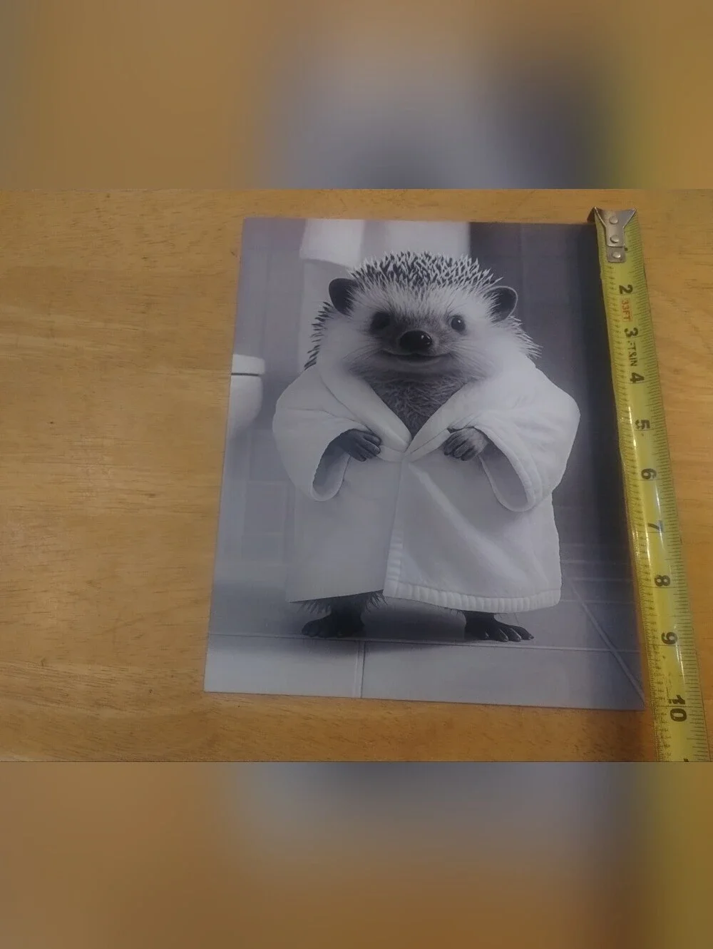 Cute Hedgehog Bathroom Art Print Stock Card Black White Wall Decor 8x10 Animal P